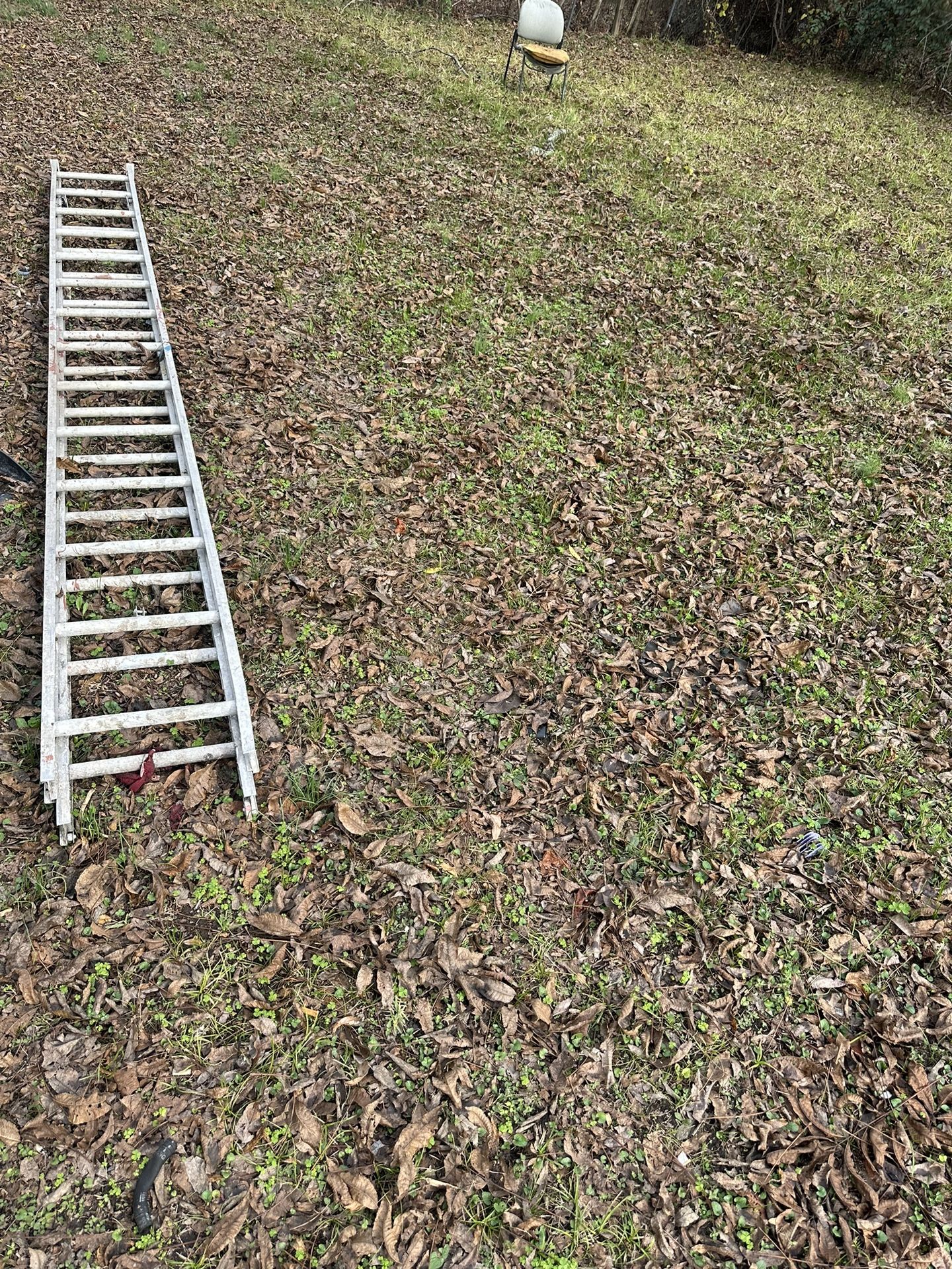 20’ Ladder 