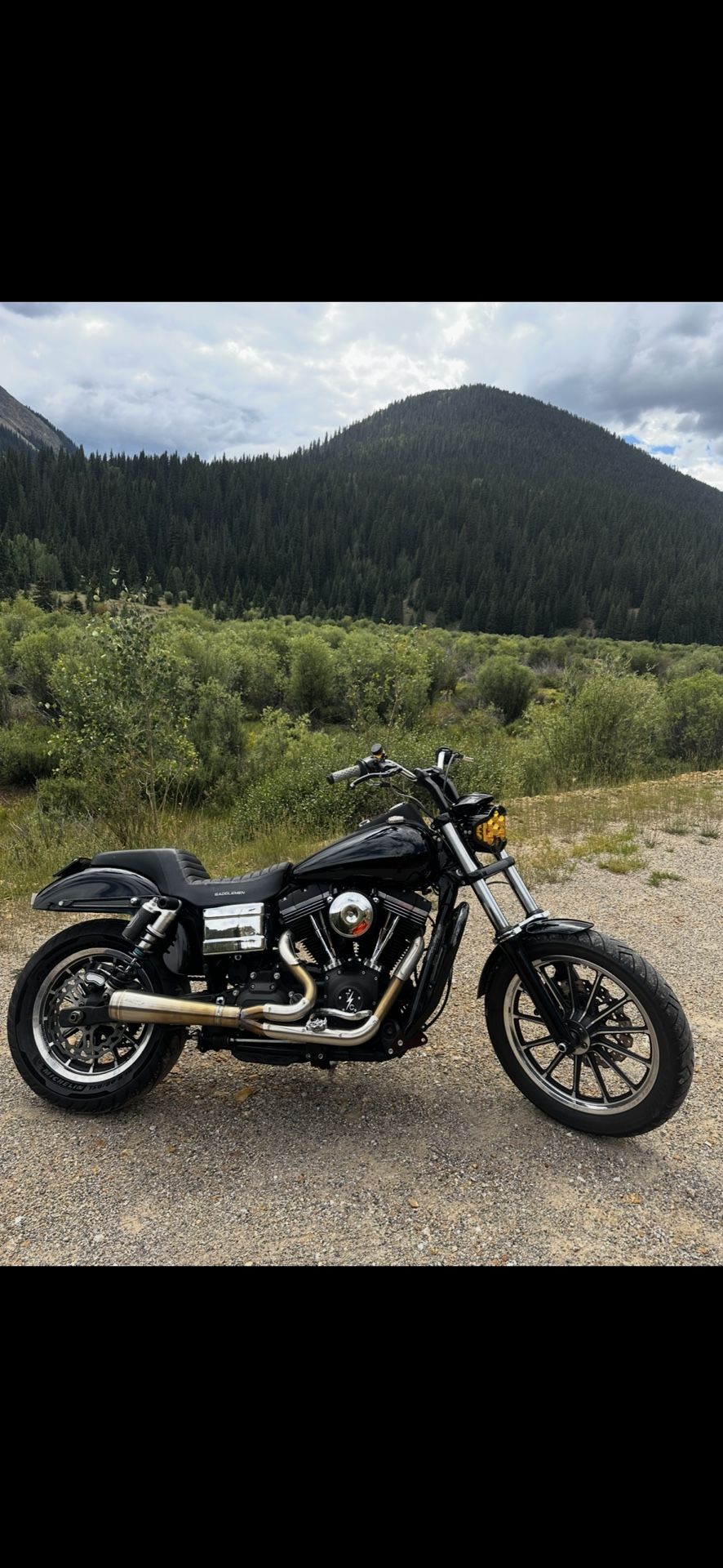 2015 Harley Davidson Dyna