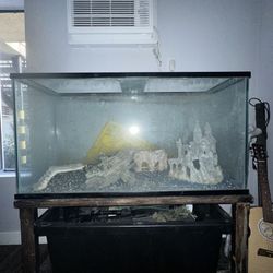Full Fish Tank And All Equipment