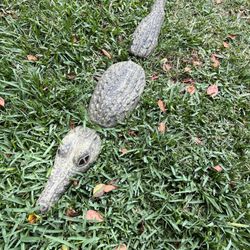 Cocodrilo De Cemento 