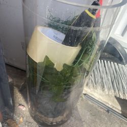 Fish Glass Tank With Base