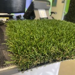 Artificial Grass Pet Turf With Special Backing