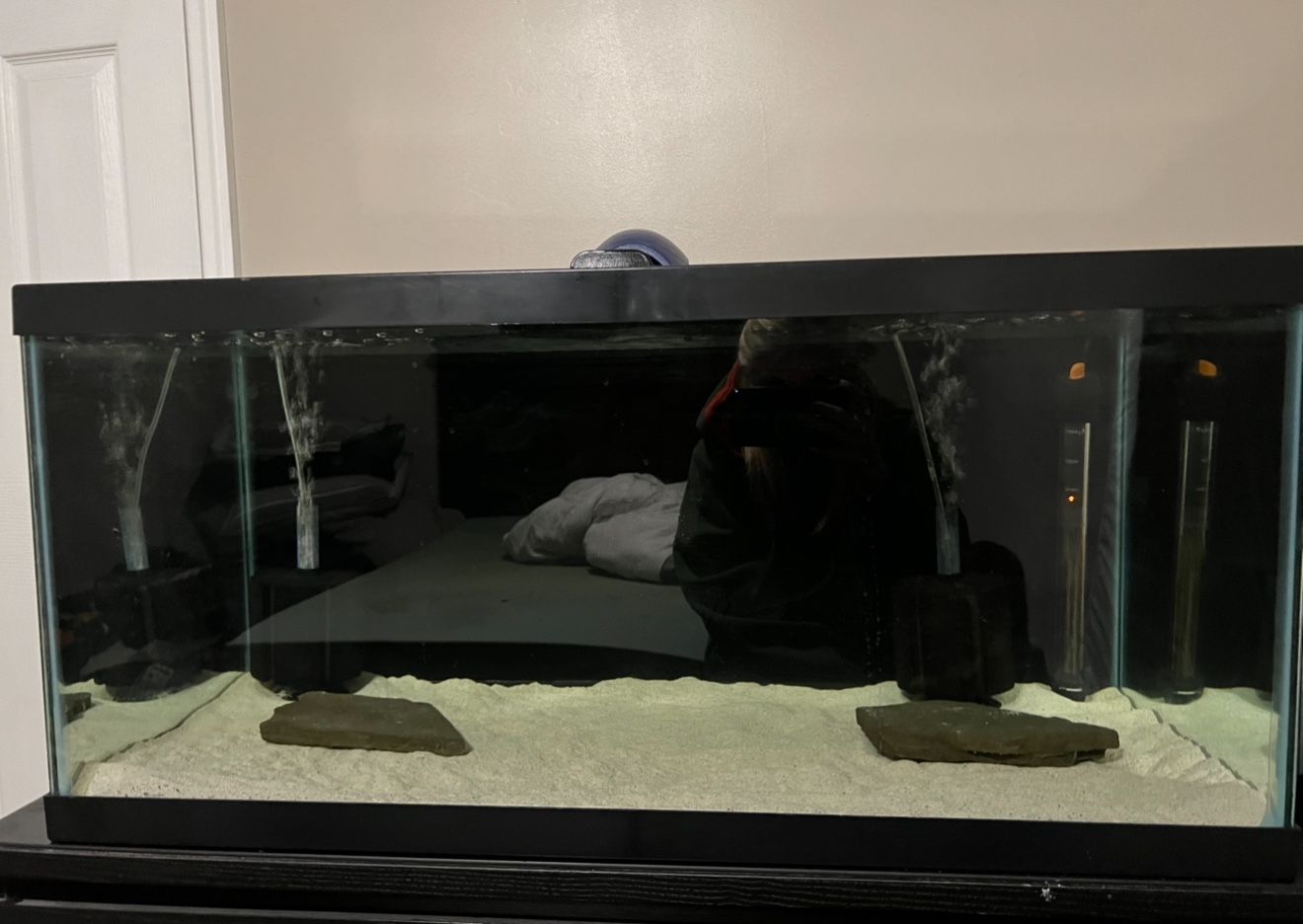 40 Gallon Breeder Tank