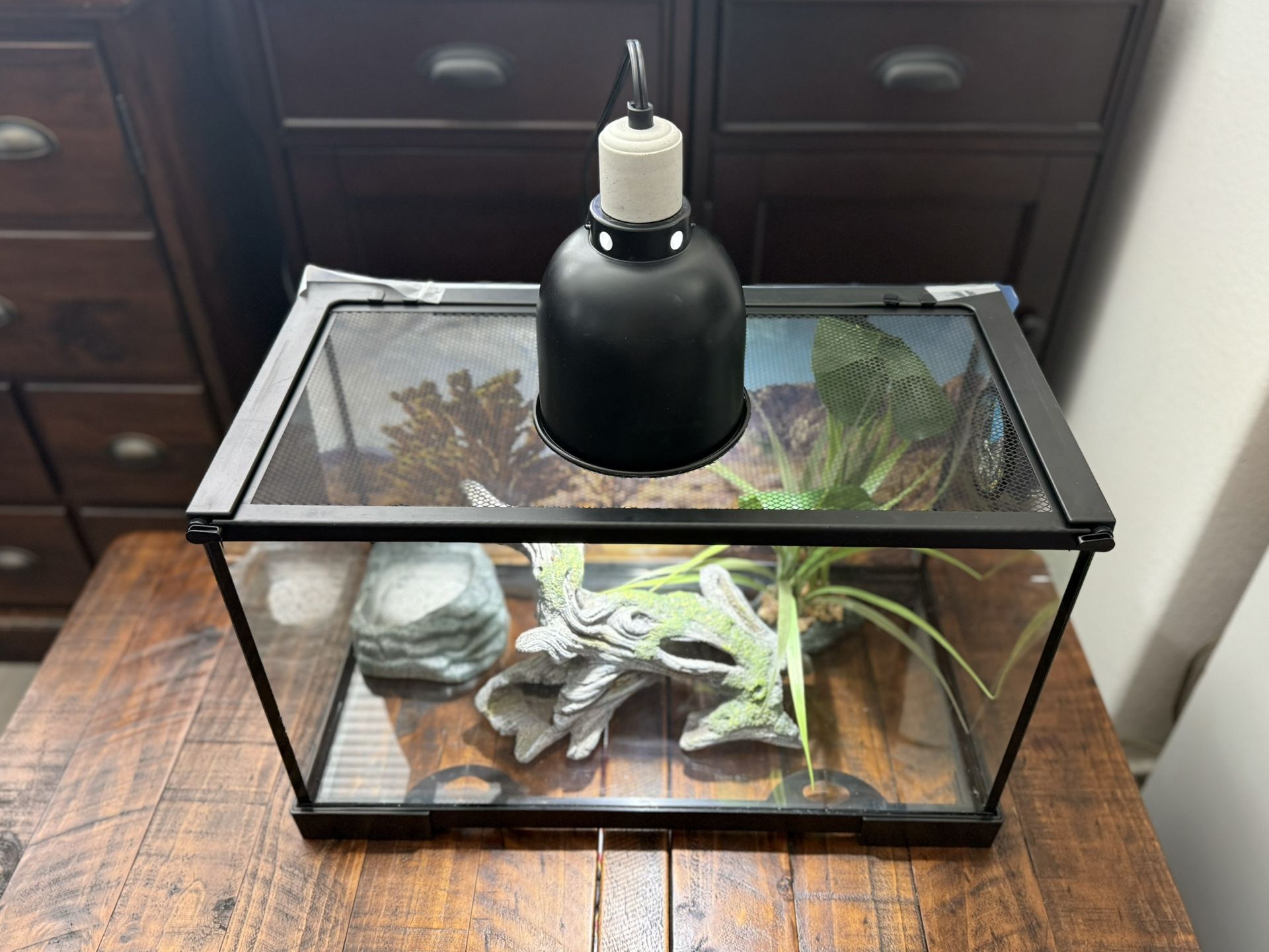 10 Gallon Complete Setup