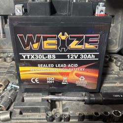 AGM batteries