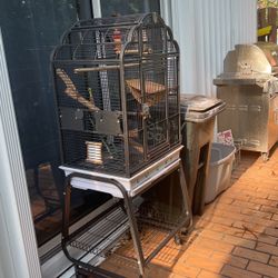 Bird Cage 