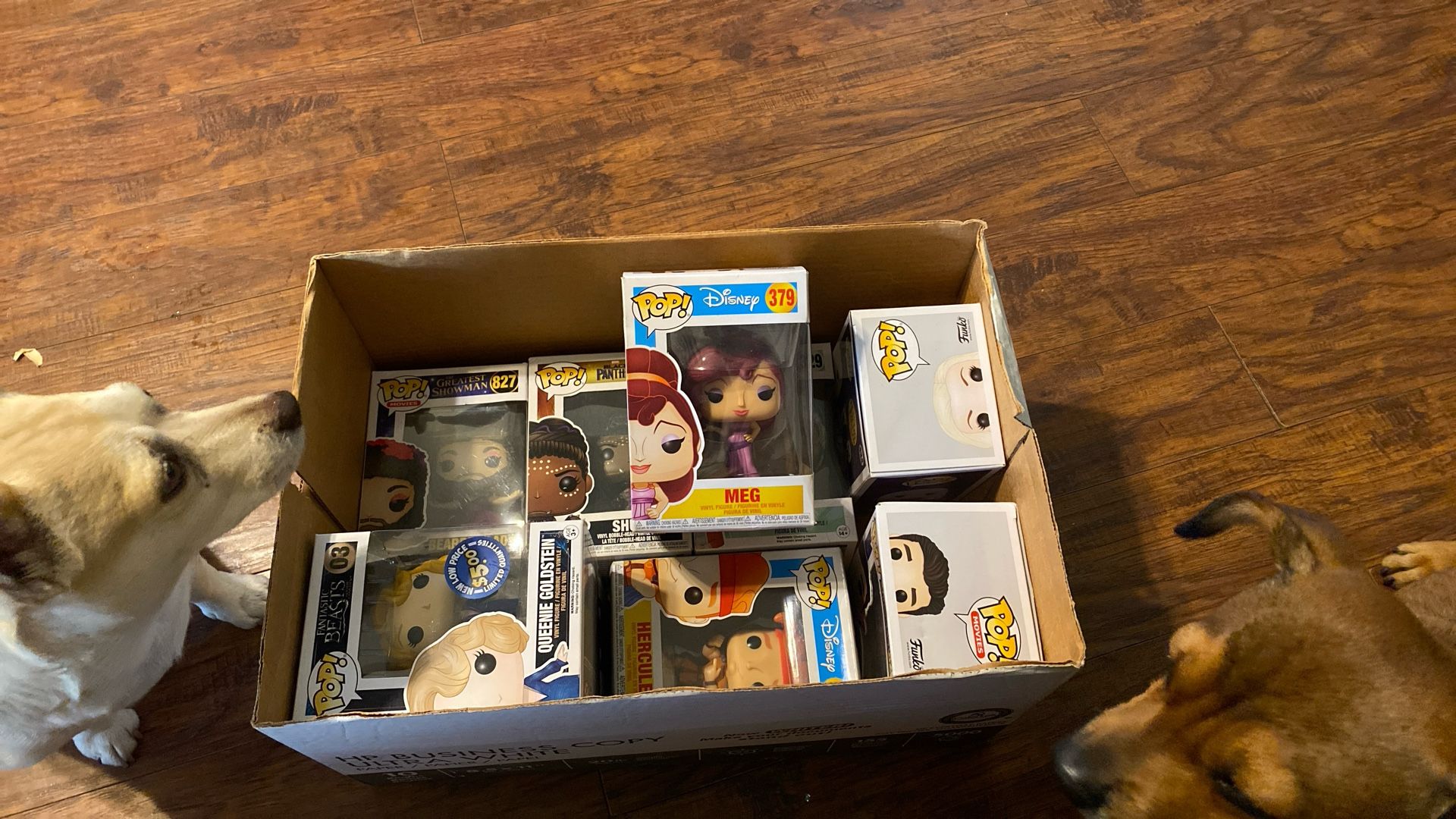 Box Of Funko Pops