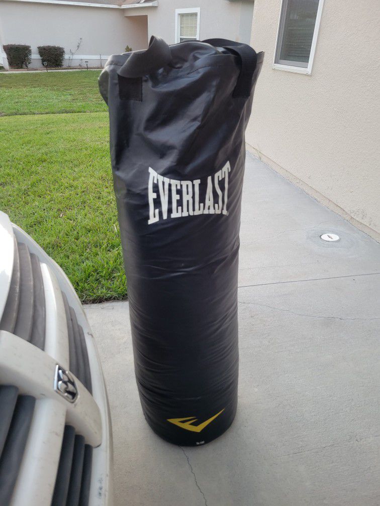 100 Lbs punching bag Everlast in perfect condition !!