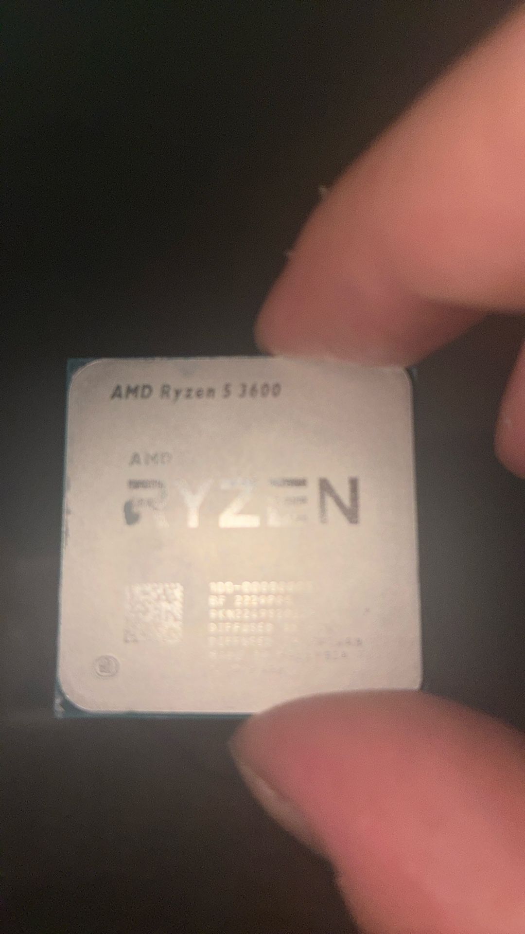 Ryzen 5 3600