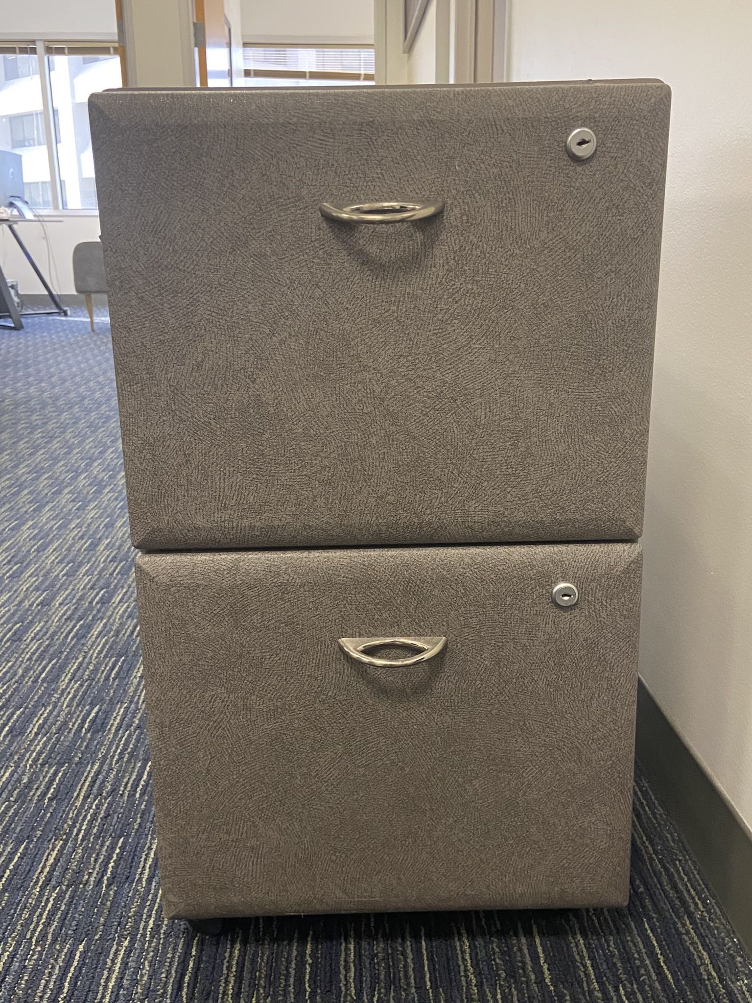 2 File Cabinets 