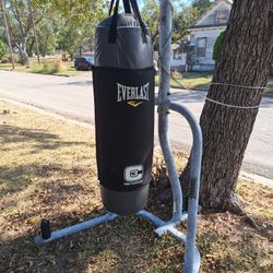 Everlast Punching Bag