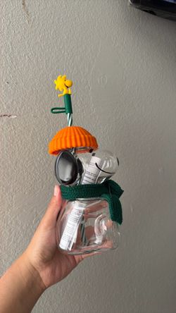 Starbucks Snoopy Glass Cup