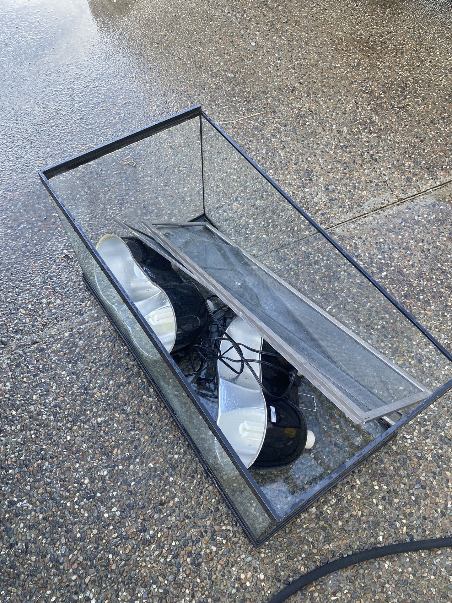 Lizard Tank Used