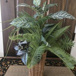 Assorted Decorative Plants in Wicker Baskets  * Read description for important info*