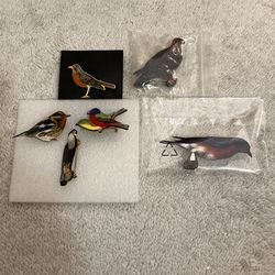 Various kinds of birds