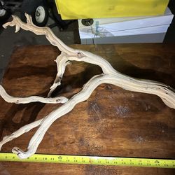 Birdcage Or Reptile Tape Sanded Mananita