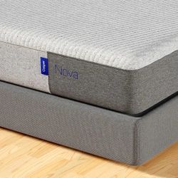Queen Size Nova Casper Mattress