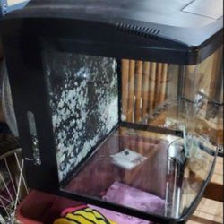 32 gallon LED biocube 
