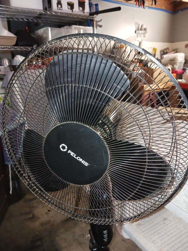 16" Fully Adjustable, 3 Speed, 7 Hour Timer Heavy Steel Fan.