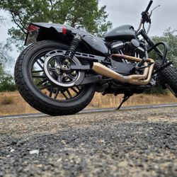 Harley Davidson Roadster 1200