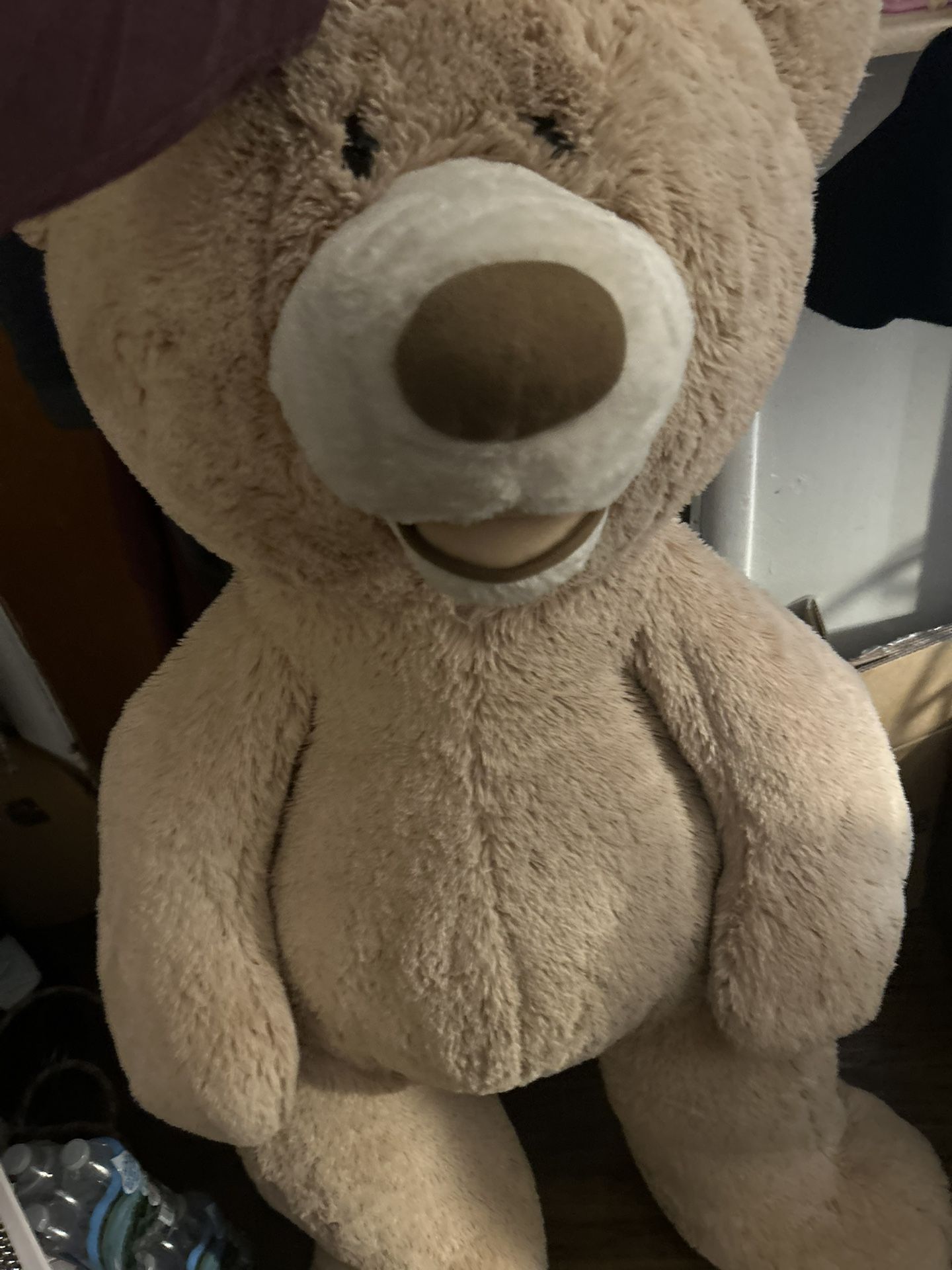 5 ft plushy Bear like new clean 25 firm