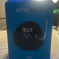 Alexa Echo Spot