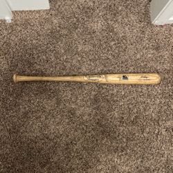 Youth Baseball Bat 