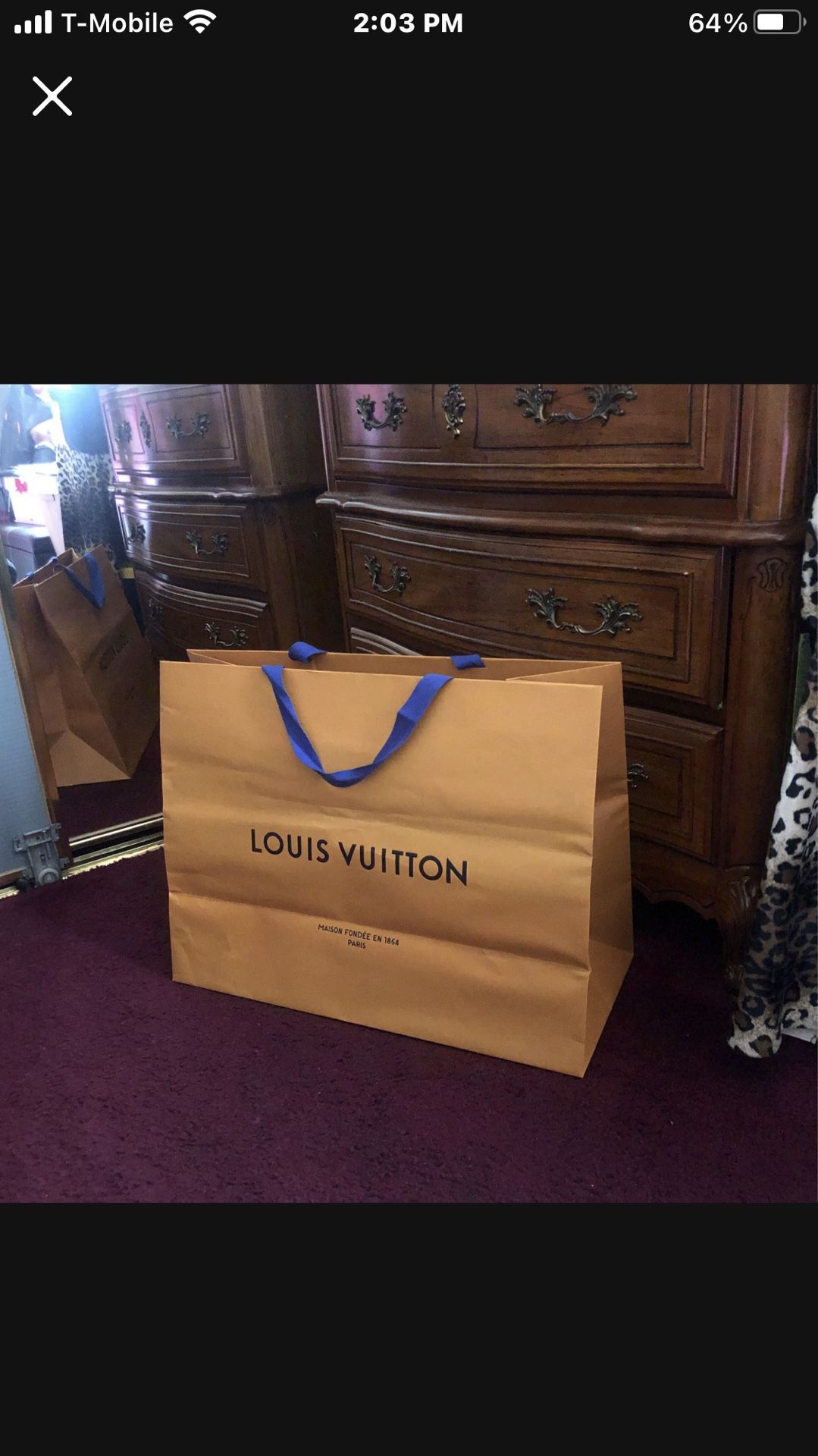 Louis Vuitton Bags
