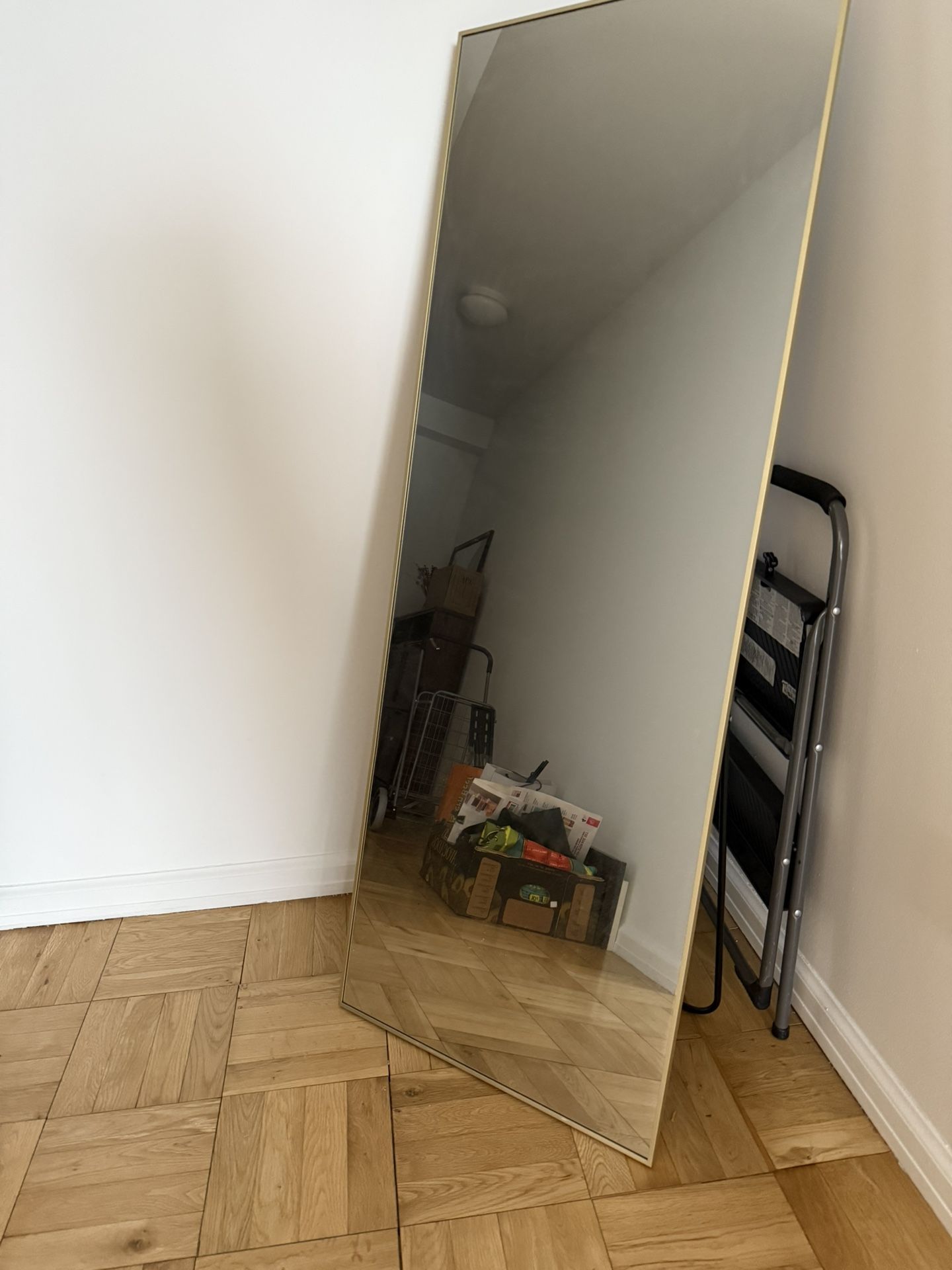 Gold-Framed Standing Mirror – 56 x 20.5 inches