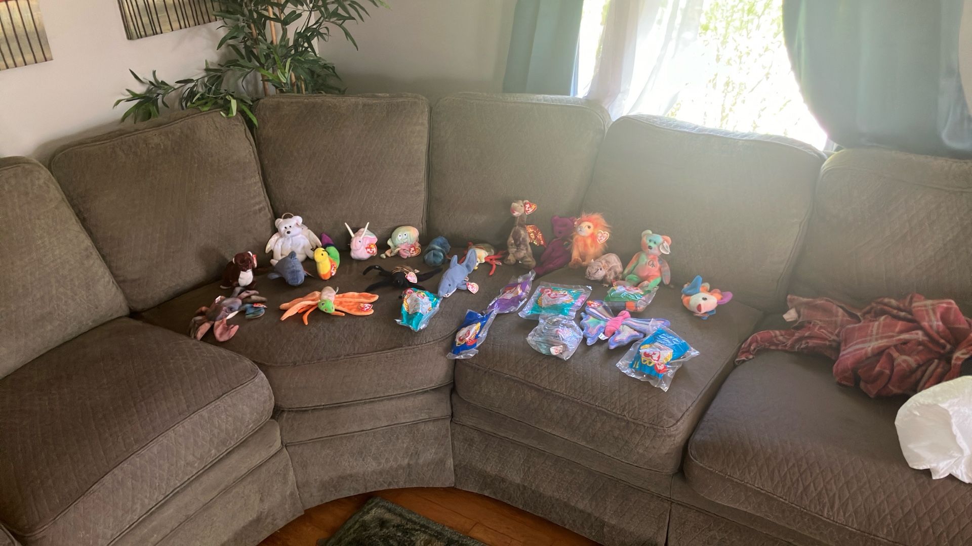 Ty Beanie Babies