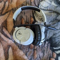 Turtle Beach Headphones