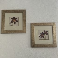 Paintings $15 Each