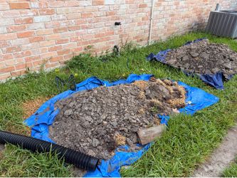 Free soil