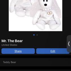 Mr./Ms. The Bear