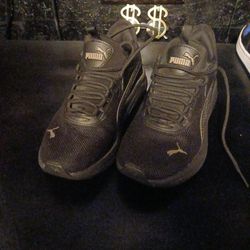 Puma
