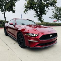 2019 Ford Mustang 