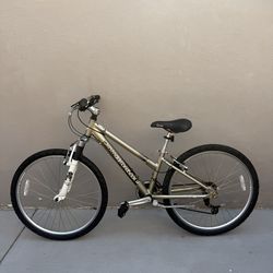 Diamondback Lustre 2 Mountain Bike – 26” Wheels