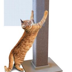 Cat Ultimate Scratching Post 32"  (NE PARK HILL AREA)