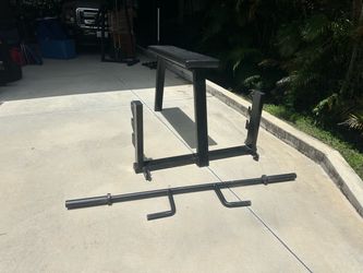 Seal prone row bench. And Barbell