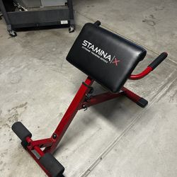 Back Extension/Roman chair 