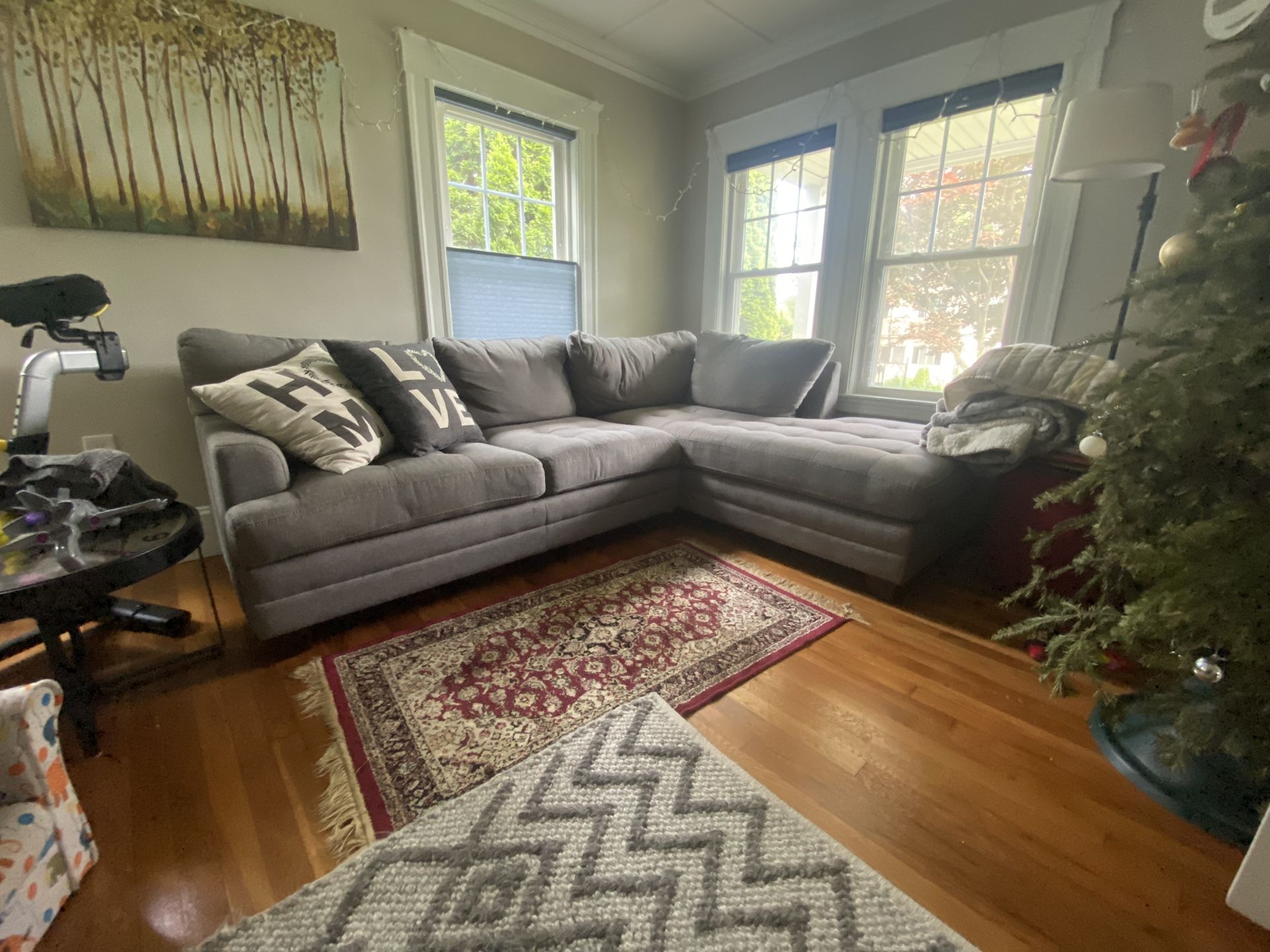 Sectional Couch
