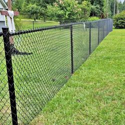Fence 