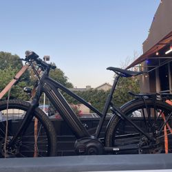 Gazelle Electric Bike, Class 3, 28mph Long Range. Msrp $3000