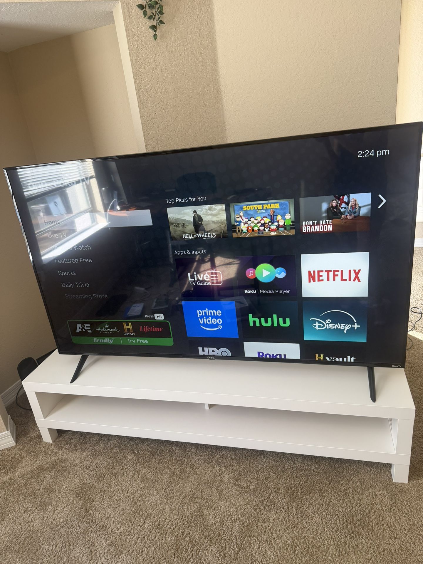65” Smart Roku TV + IKEA TV Stand