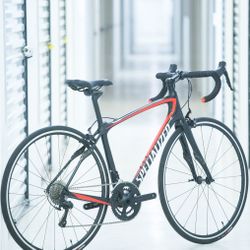 Specialized Ruby SL4 Sport Small Carbon Fiber 51cm 