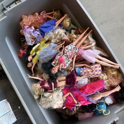 100 Barbie Doll Tub