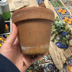 Terracotta Pot