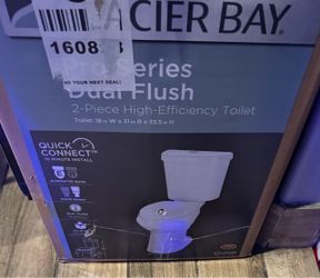 Glacier Bay 12 in. Toilet
