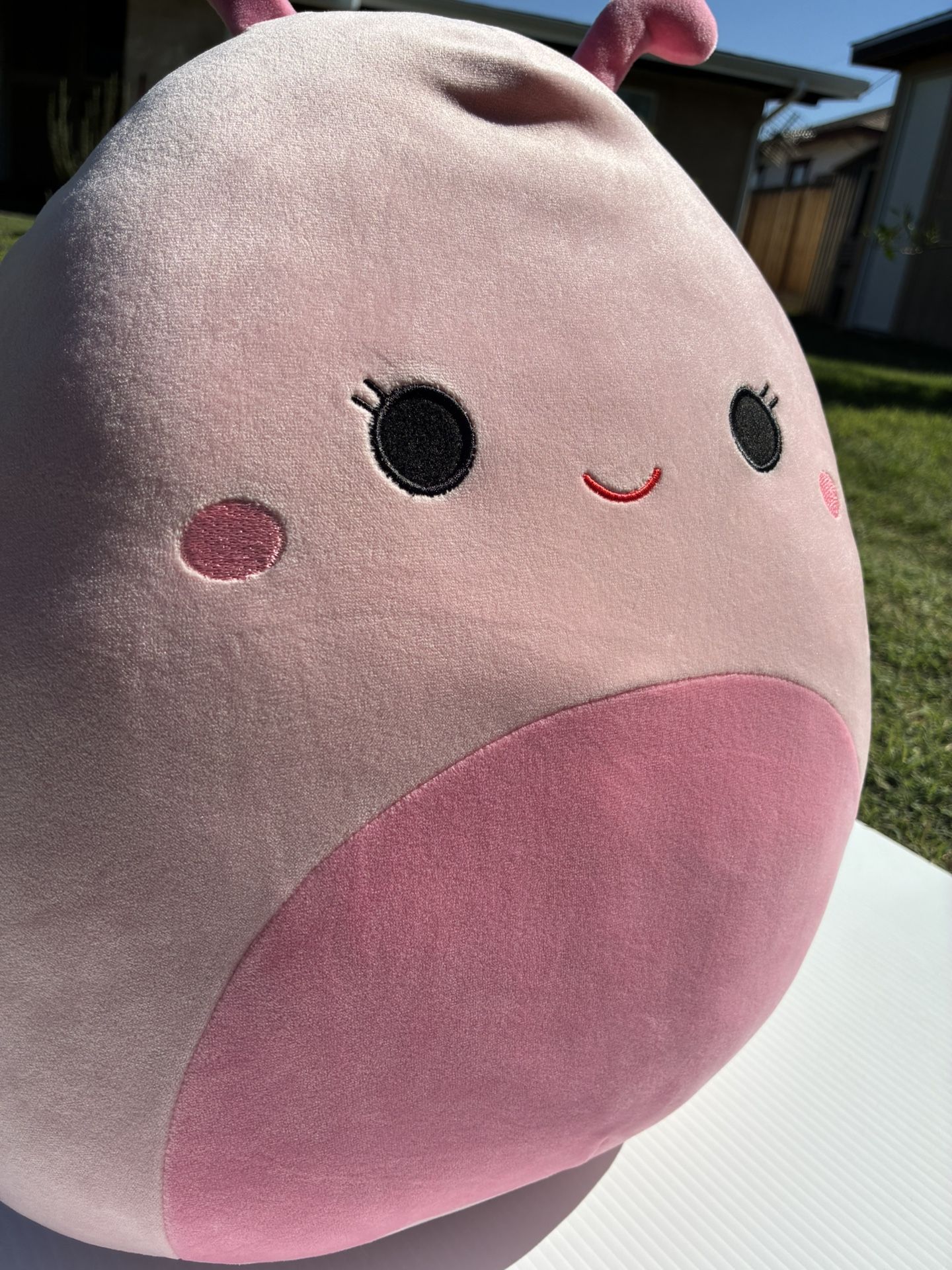 Squishmallow