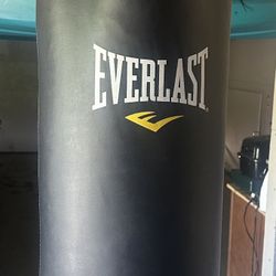 Everlast Heavy Punching Bag 